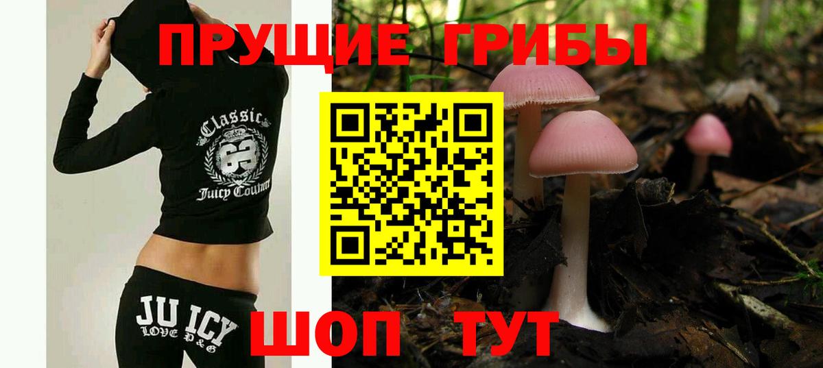 Галлюциногенные грибы Magic Shrooms  Псилоцибиновые грибы Cubensis  Красногорск  купить  цена  Вход с VPN 